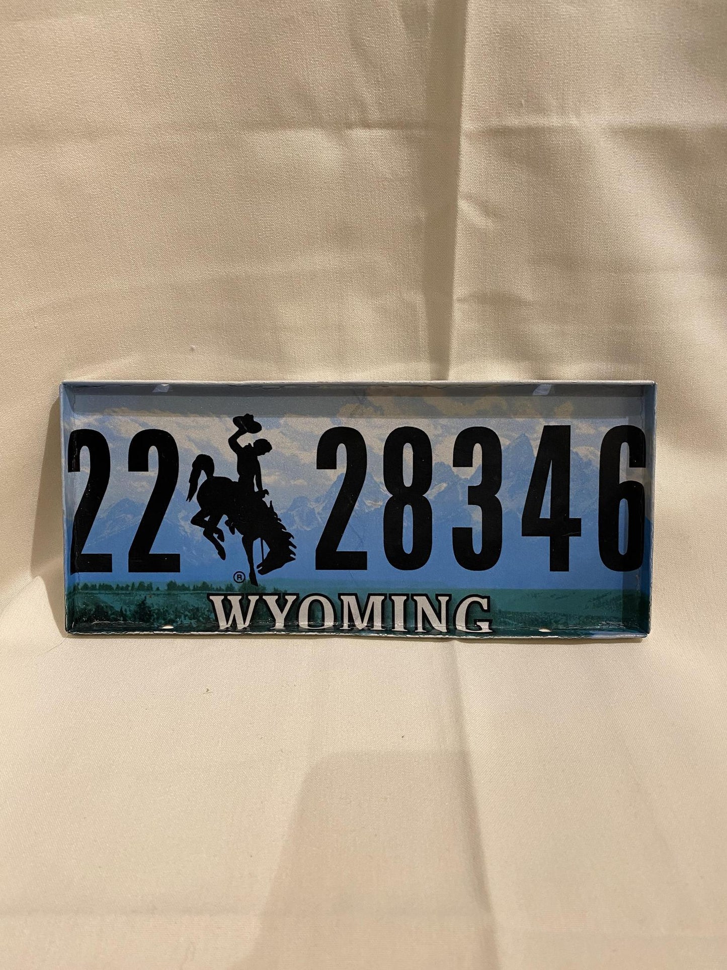 License Plate Serving Tray SPP