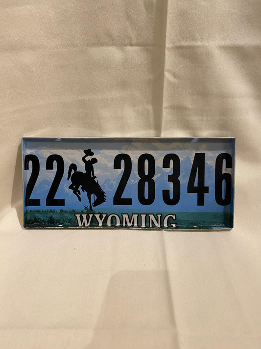License Plate Serving Tray SPP