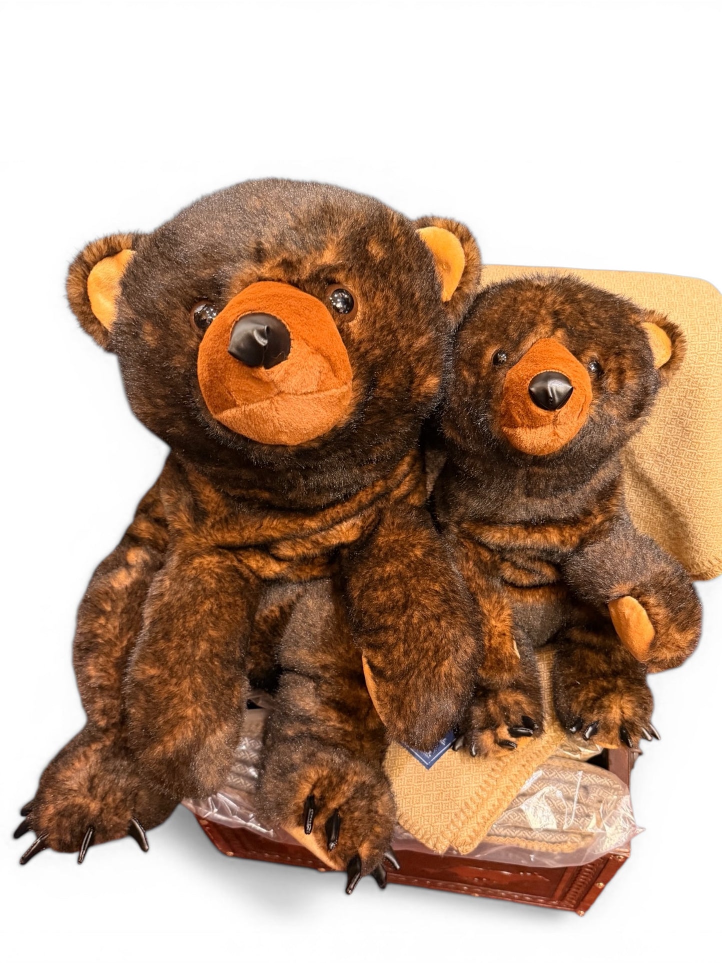 Cinna Bear 26" IRP