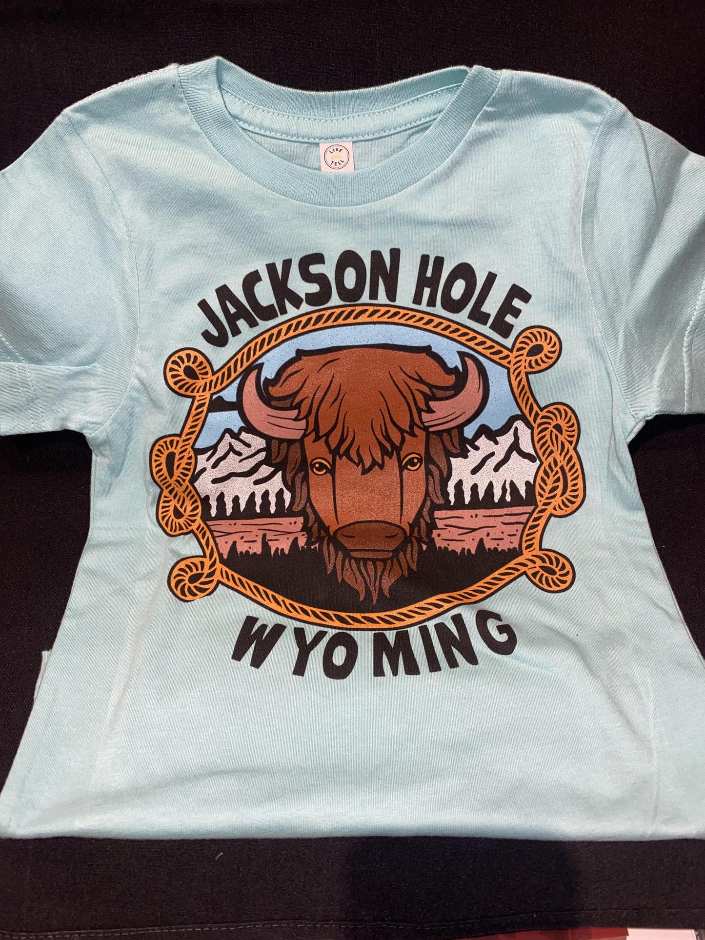 Short Sleeve Youth Bison